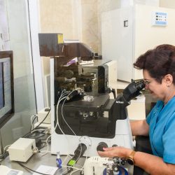 00e67475-c556-47a2-9175-0dfb63bd98a6