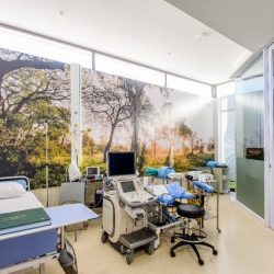 65b2a86a-25a4-46c4-aa65-ce53a111f3e3