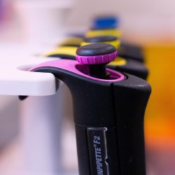 IMG_1005-002-scaled-1