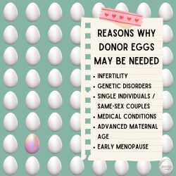 fertility-mate-needs